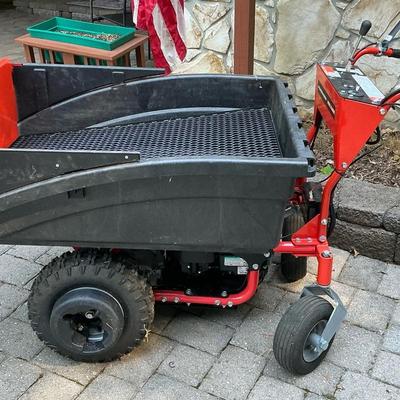DR PowerWagon Pro XL800 Electric Start & Power Dump 
