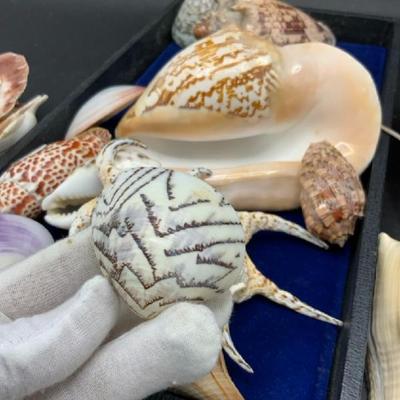 Sale Photo Thumbnail #767