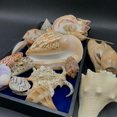 Sale Photo Thumbnail #762