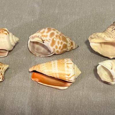 Sale Photo Thumbnail #629