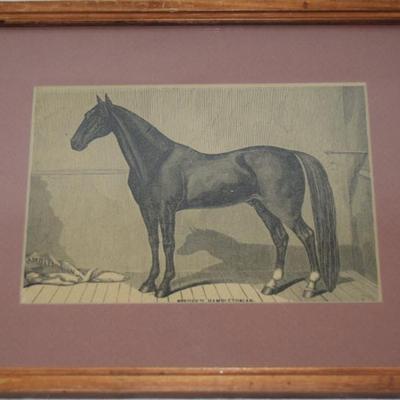 Sale Photo Thumbnail #351