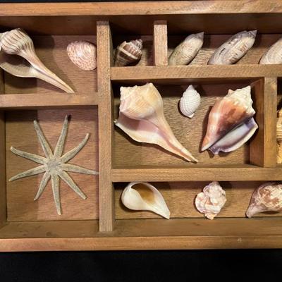 Sale Photo Thumbnail #609