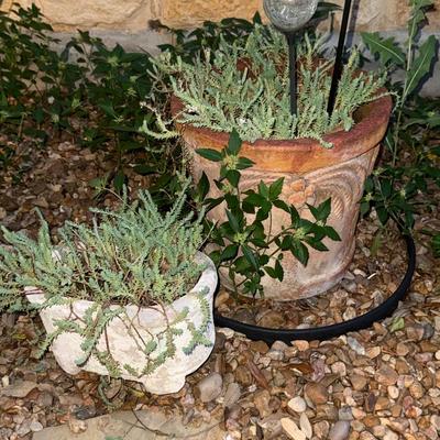 Decorative Outdoor Planters – Terracotta & Scalloped White Set