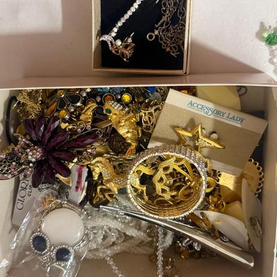 Large Costume Jewelry Lot – Brooches, Pins, Necklaces & More
