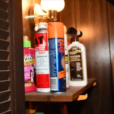 Sale Photo Thumbnail #607: 605 basement