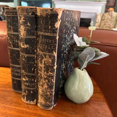 Sale Photo Thumbnail #220: Many Shribner's Monthly books from the 1800s. 