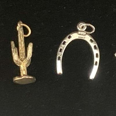 Sh703v fun silver charms