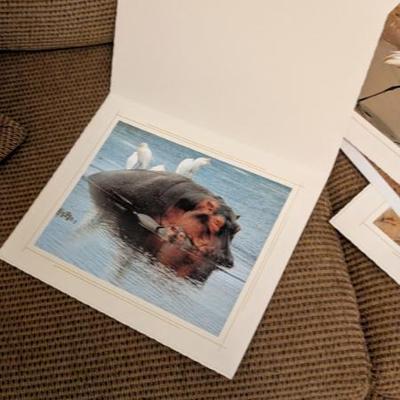 Sale Photo Thumbnail #93