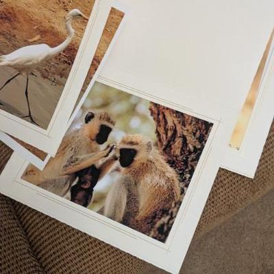 Sale Photo Thumbnail #177