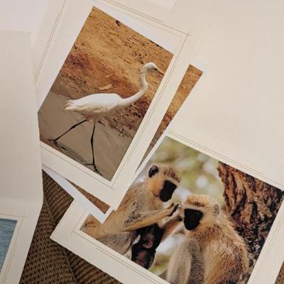 Sale Photo Thumbnail #167