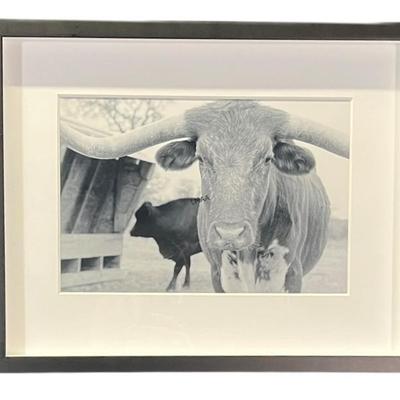 Sale Photo Thumbnail #361