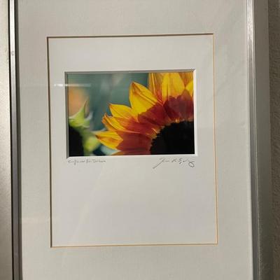 Framed Photograph Titled ‘Sunflower for Darleen,’ Signed by Artist