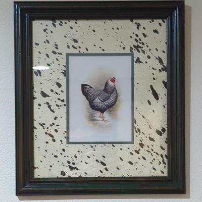 Silver Laced Wyandotte Chicken Print 