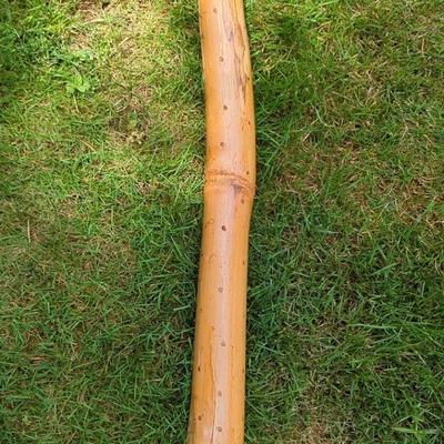 Rain Stick