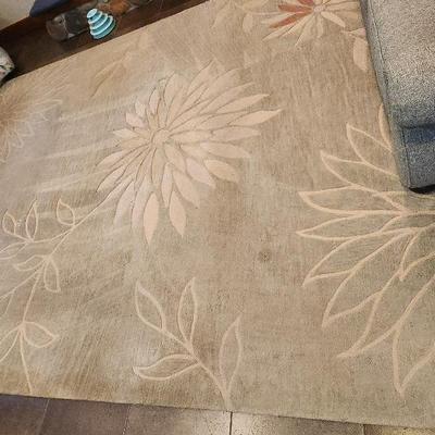Daylon Rug Company "Aloe" 9 x 13 