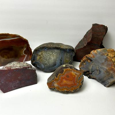 Rocks & Minerals - Large Petrified Wood, Agate, Quartz, & Banded Iron