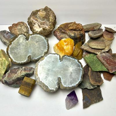 Cut & Unpolished Rocks & Minerals - Quartz, Aquamarine, Jasper, & More