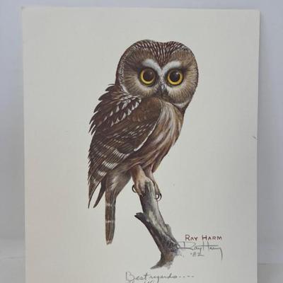 Signed Ray Harm "Saw-whet Owl" Limited Lithograph 8 x 10 ($125)