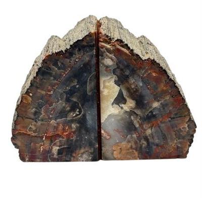 Lot 119   
Petrified Wood Bookends