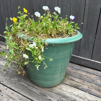 Beautiful Pot