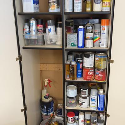 Misc Paint, Car Cleaners And other Supplies