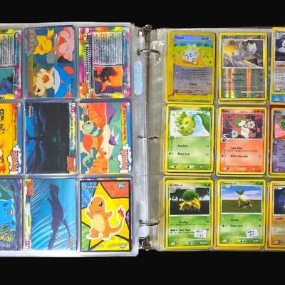 Pokémon Binder 1