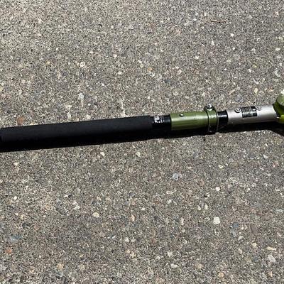 Sunjoe Extending Electric Pole Saw
