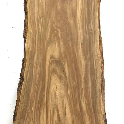 Live Edge Wood Slab 5