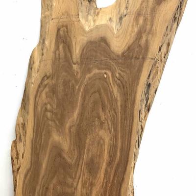Live Edge Wood Slab 1