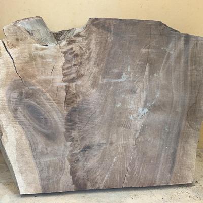 Live Edge Wood Slab Small