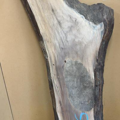 Live Edge Wood Slab Long