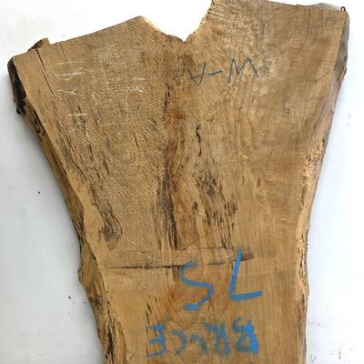 Live Edge Wood Slab 4
