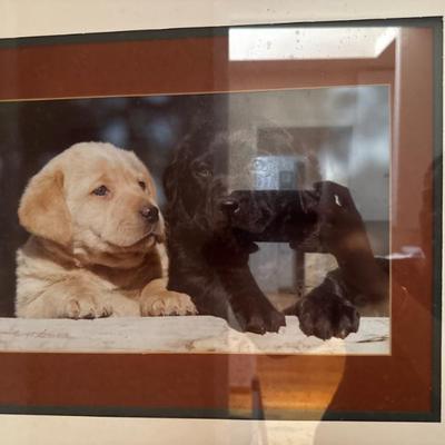Sale Photo Thumbnail #300