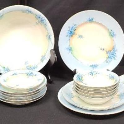 Blue Floral Hutschenreuther Selb Bavaria Porcelain China Set