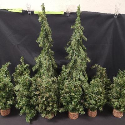 Dept. 56 Tall Tree Lot - Set of 13