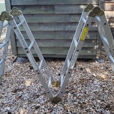 Articulating Ladder
