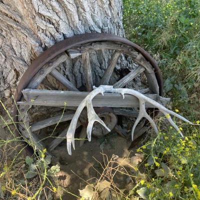 Sale Photo Thumbnail #199: Wagon wheels 