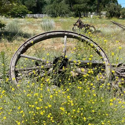 Sale Photo Thumbnail #197: Wagon wheels 