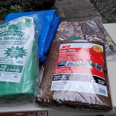 Tarps 