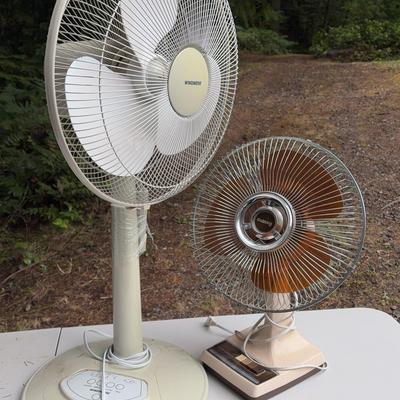 Fans #1
