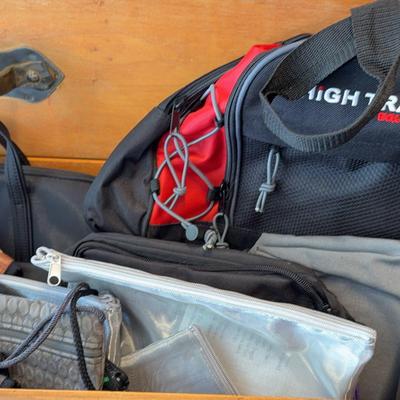 Collection of Bags for Travel