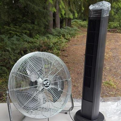 Fans # 2
