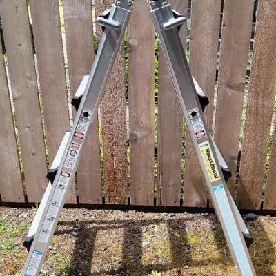 Cosco Ladder