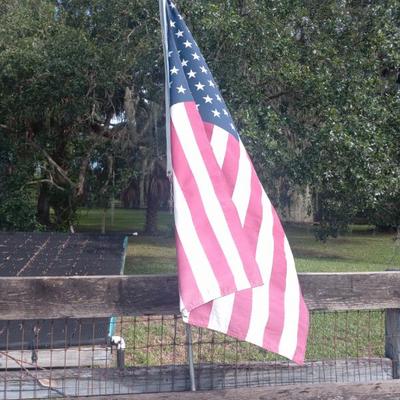 American Flag on Aluminum Pole with Brass Eagle Finial