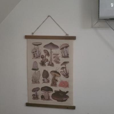 Sale Photo Thumbnail #53