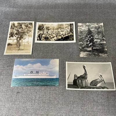 Sale Photo Thumbnail #307