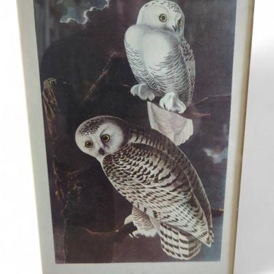 Sale Photo Thumbnail #598