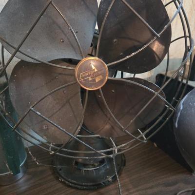 Fan