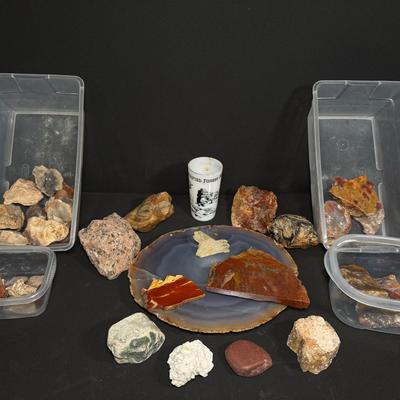 I’m Petrified… Rock Collection For The Enthusiast!