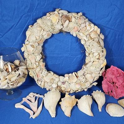 Seashell Decor(10)